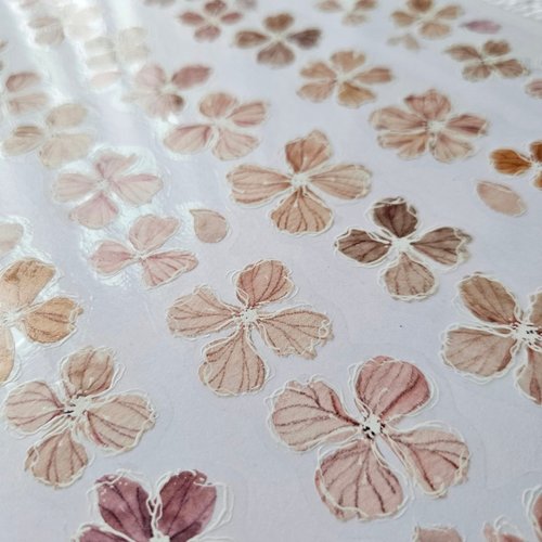 Flower Volume 20 PET Tape Sample - 1 Loop (200cm)