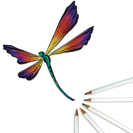 Tombow - Irojiten Colored Pencil Set - Rainforest Colors