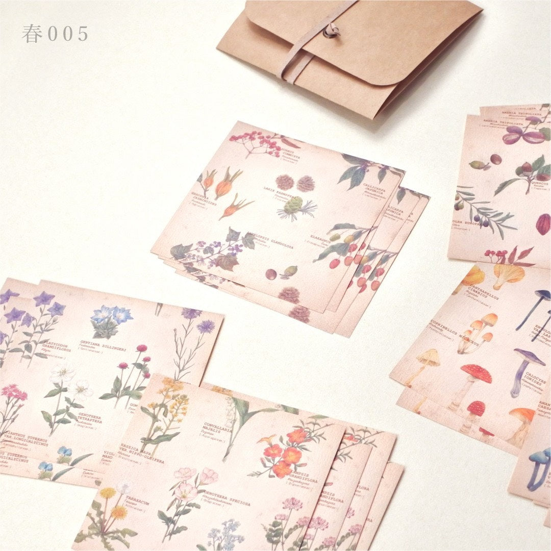 Retronome Series Memo Paper Set - Art Book of Wildflowers, Tree Fruits & Mushrooms