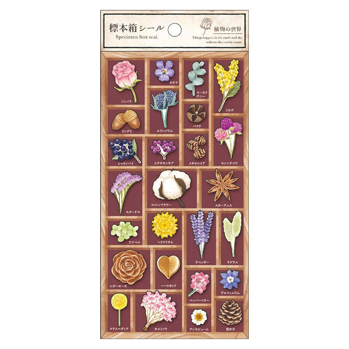 Specimen Box Series Silver Foil Sticker - Plant