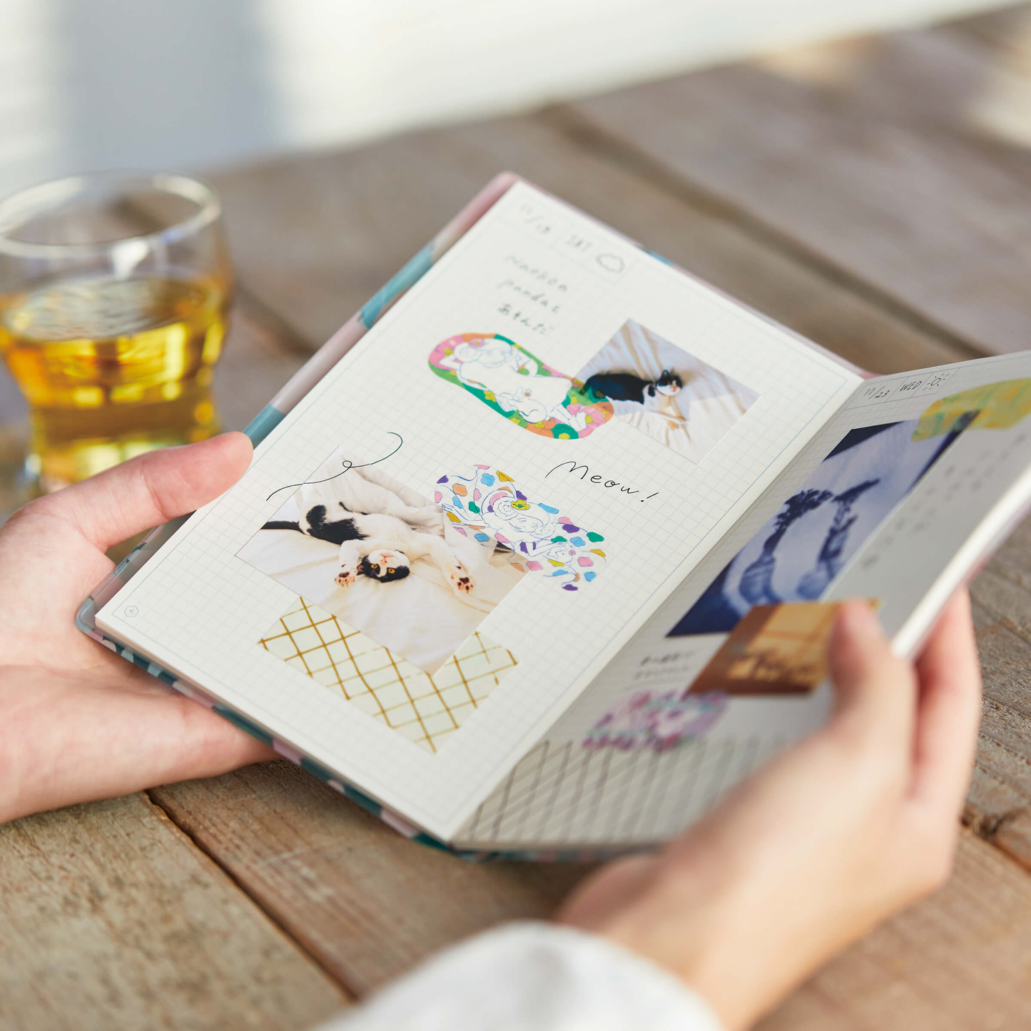 Hitotoki KITTA Clear Series PET Die Cut Portable Sticker - Cat