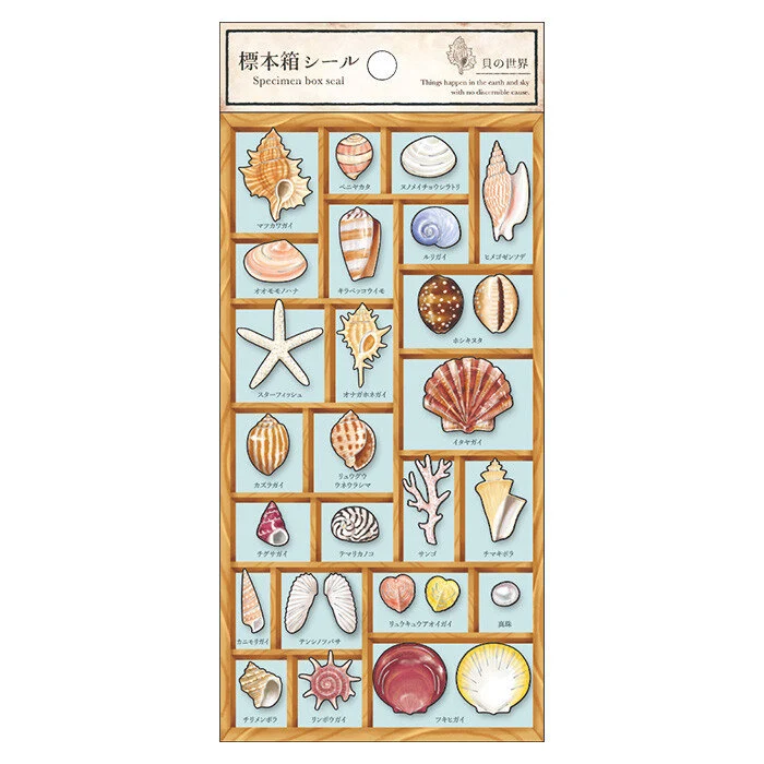 Specimen Box Series Silver Foil Sticker - Shell