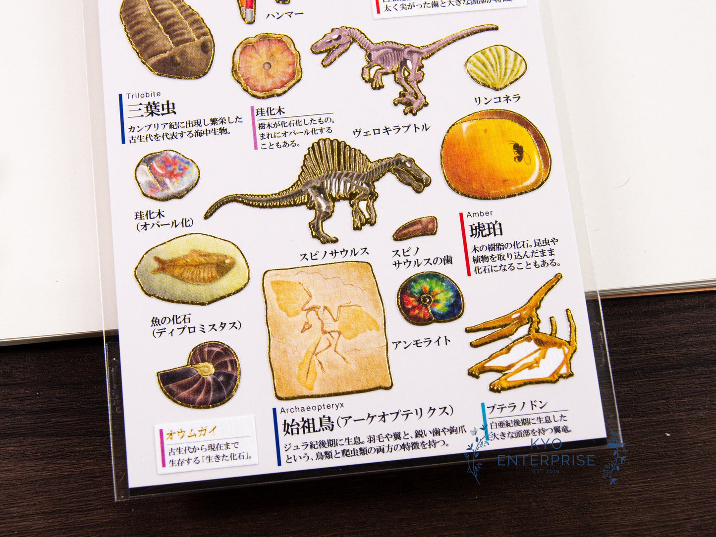 Visual Collection Gold Foil Sticker - Fossil