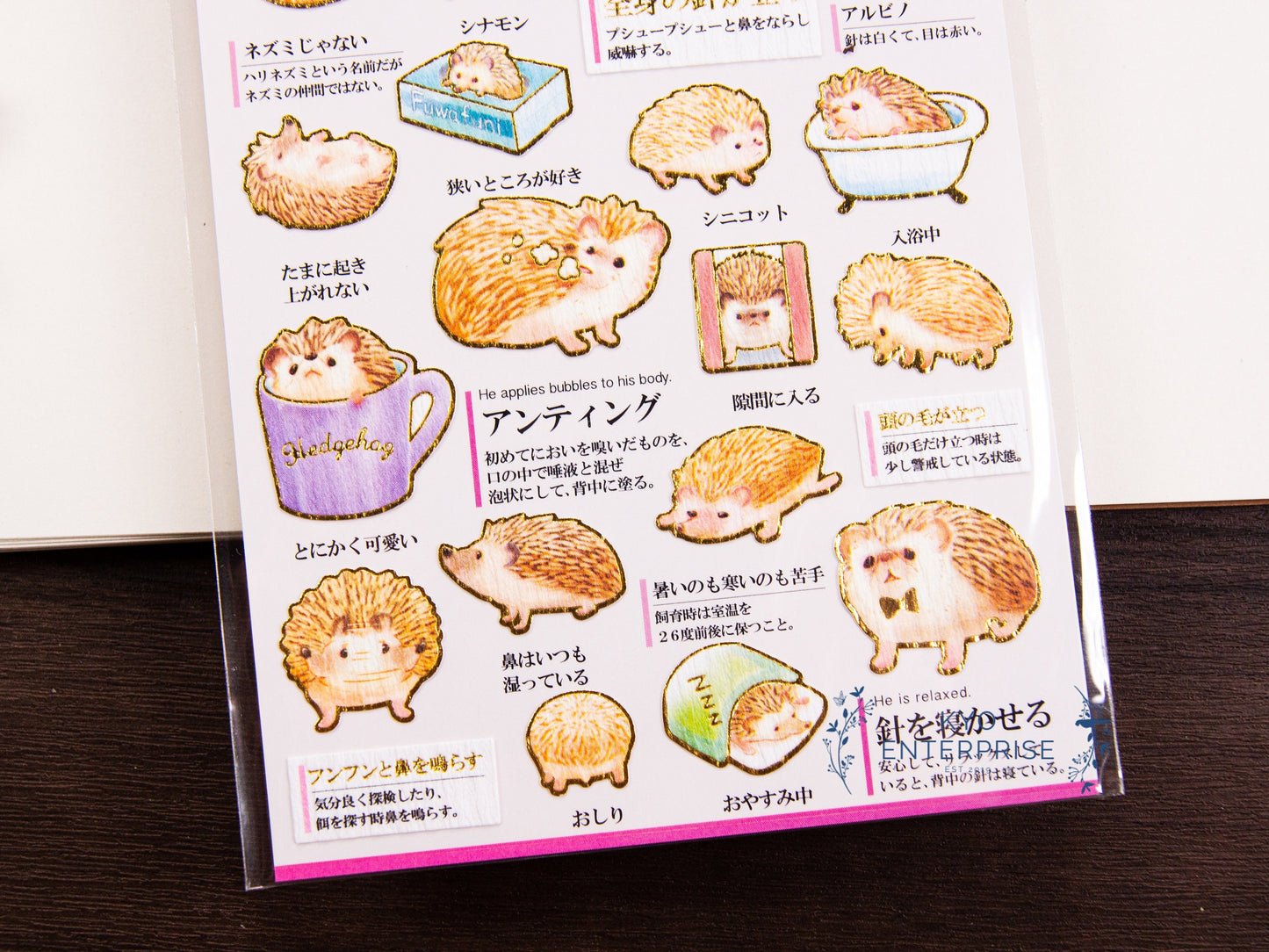 Visual Collection Gold Foil Sticker - Observation of Hedgehog