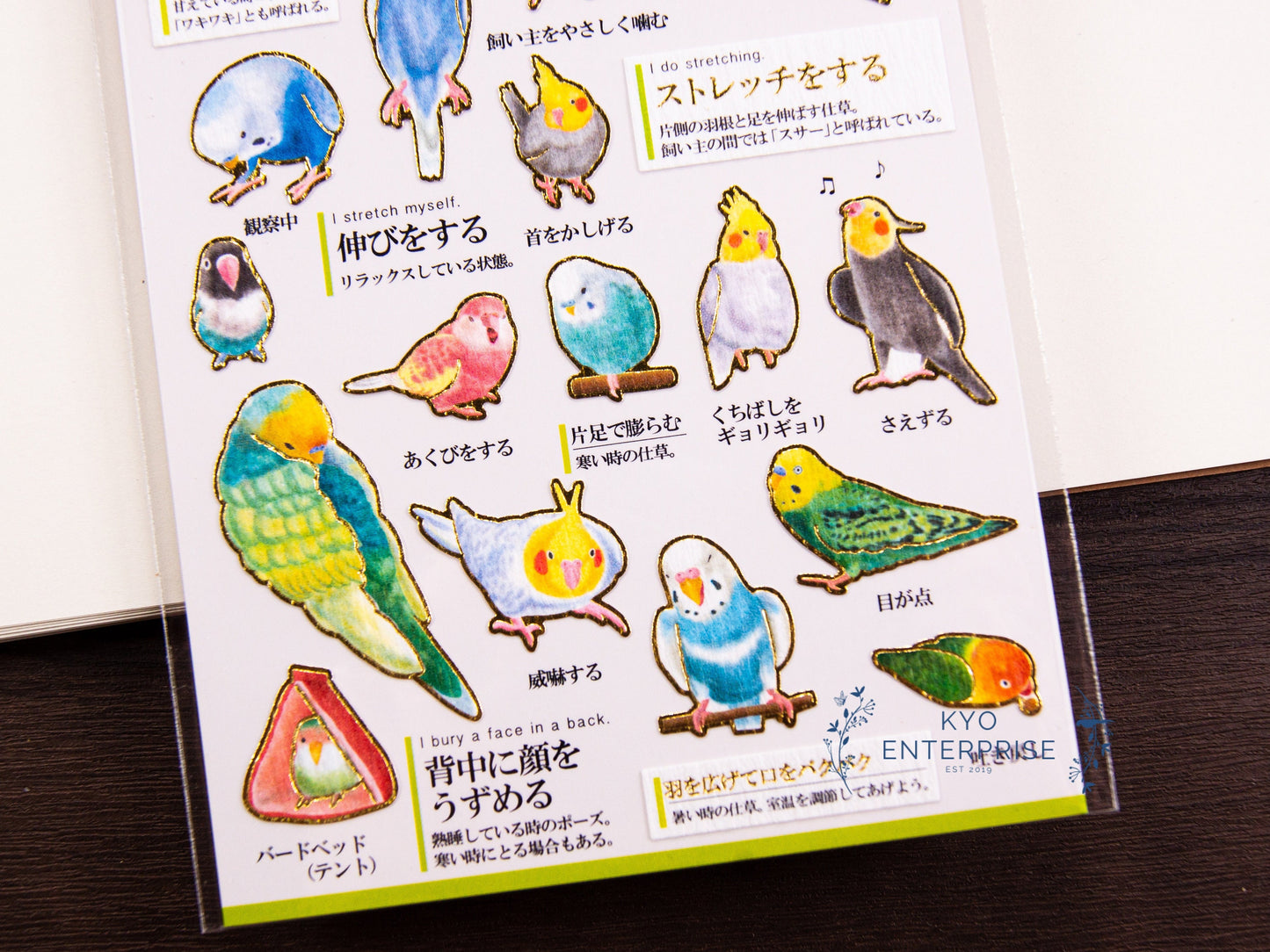 Visual Collection Gold Foil Sticker - Parrot's Behavior