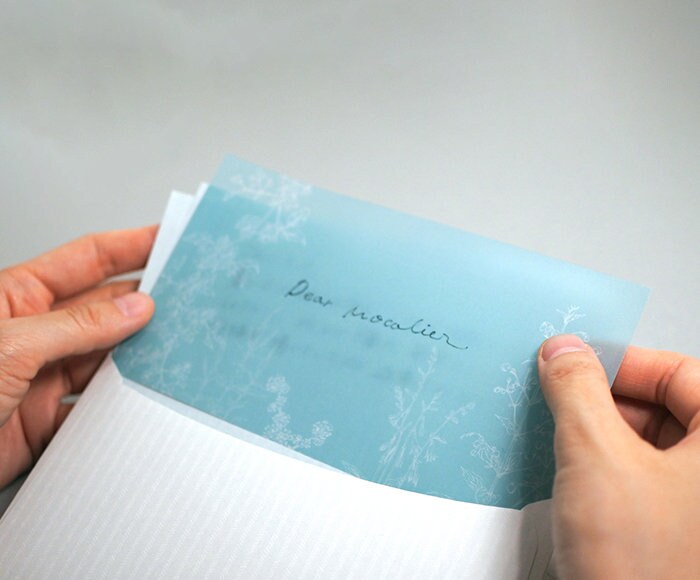 Linylane Series Writing Letter Set - Botanical Mountain Grass 003 Summer