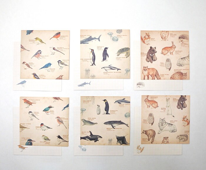 Retronome Series Memo Paper Set - Art Book of Animal