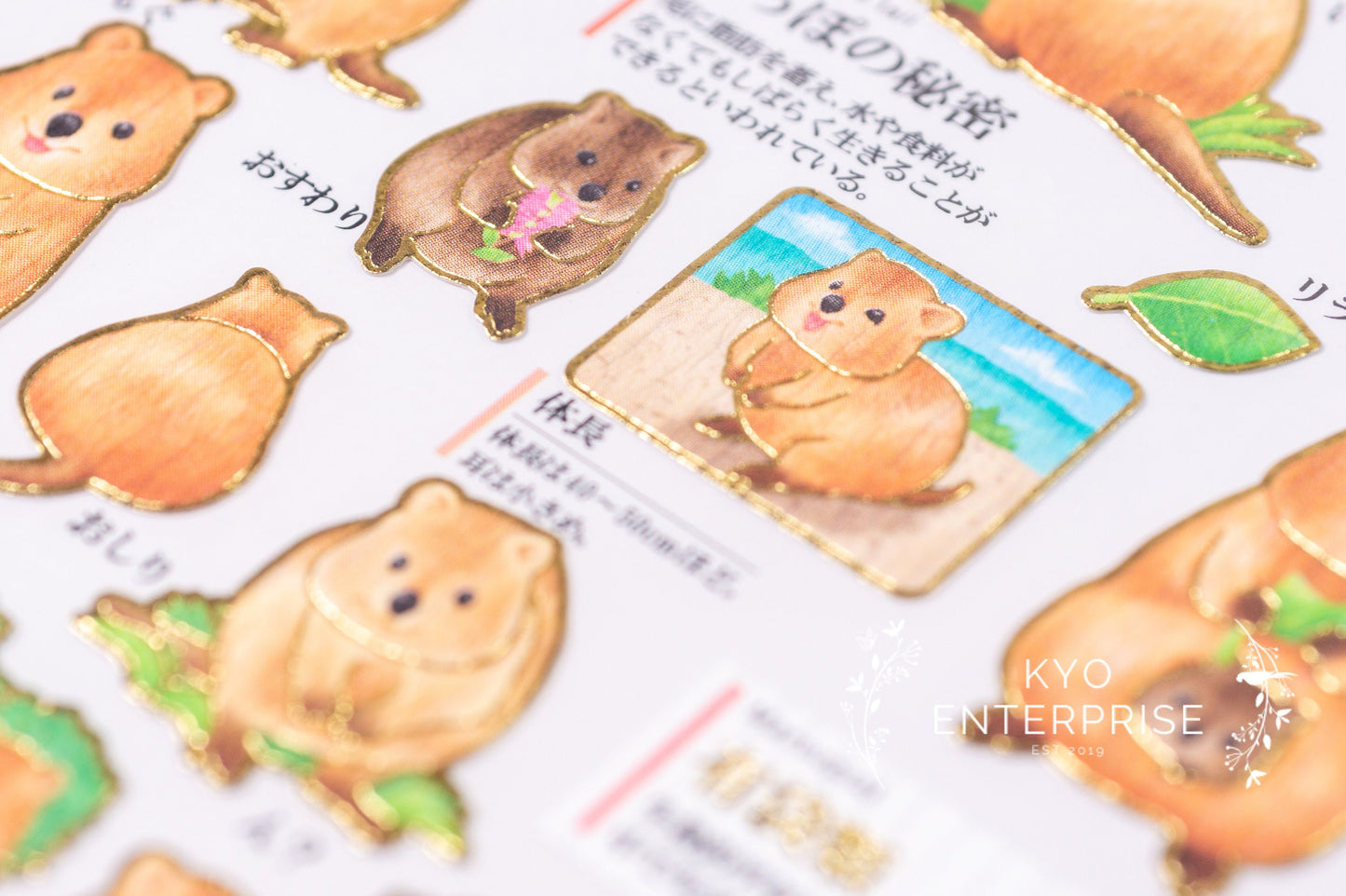 Visual Collection Gold Foil Sticker - Kakko