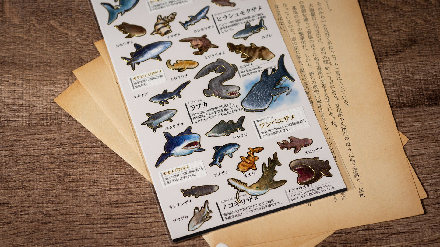 Visual Collection Gold Foil Sticker - Shark