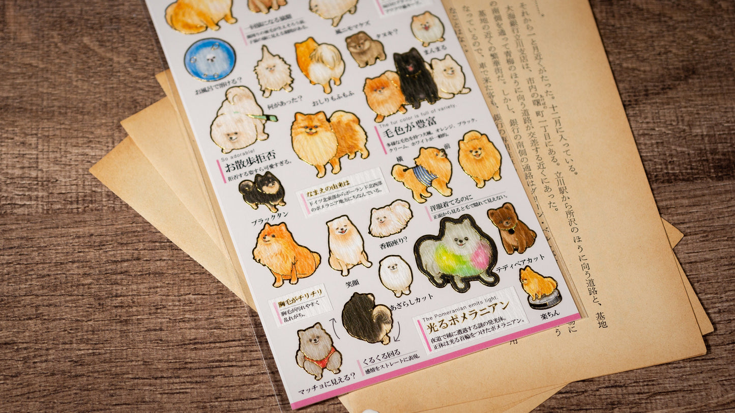 Visual Collection Gold Foil Sticker - Pomeranian