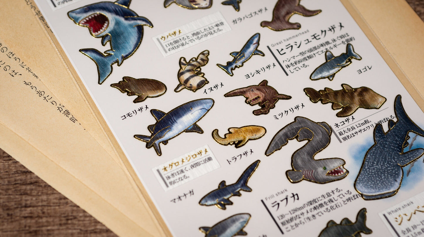 Visual Collection Gold Foil Sticker - Shark