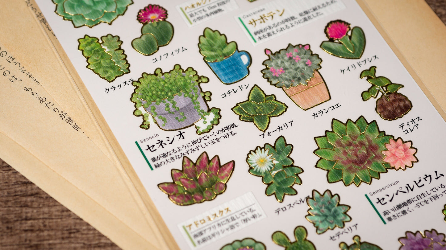 Visual Collection Gold Foil Sticker - Succulent plants