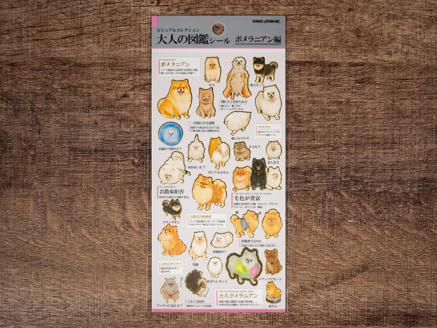 Visual Collection Gold Foil Sticker - Pomeranian