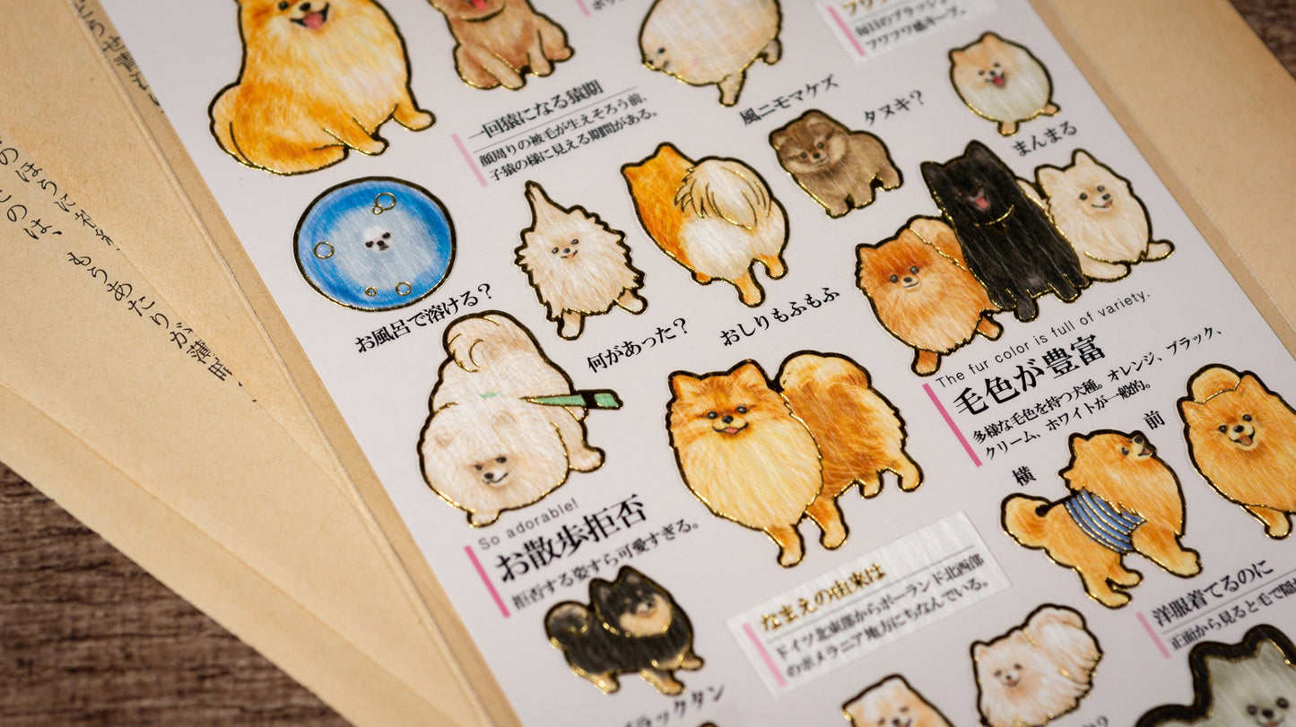 Visual Collection Gold Foil Sticker - Pomeranian