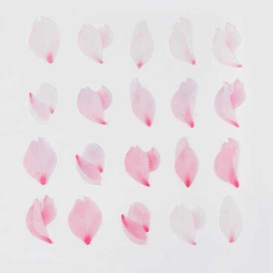 Washi Sticker Roll Series - Sakura Dance