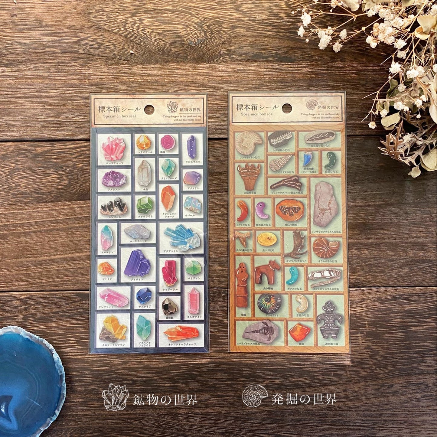 Specimen Box Series Silver Foil Sticker - Antique