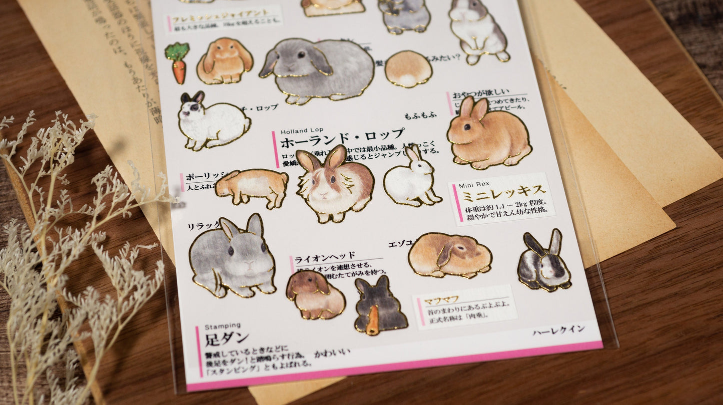 Visual Collection Gold Foil Sticker - Rabbit