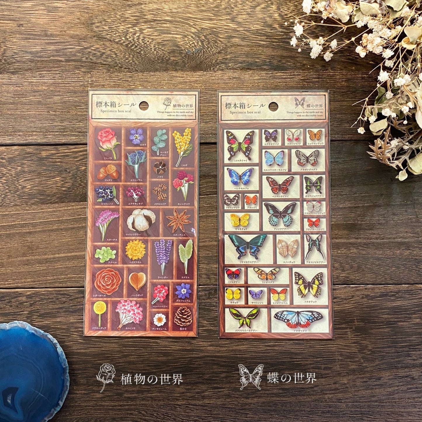 Specimen Box Series Silver Foil Sticker - Butterfly