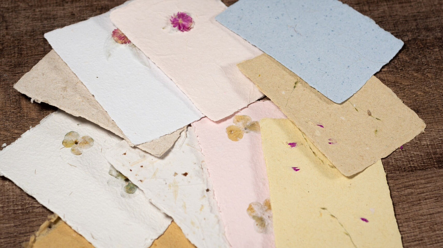 Business Card Mixed Botanical Handmade Paper