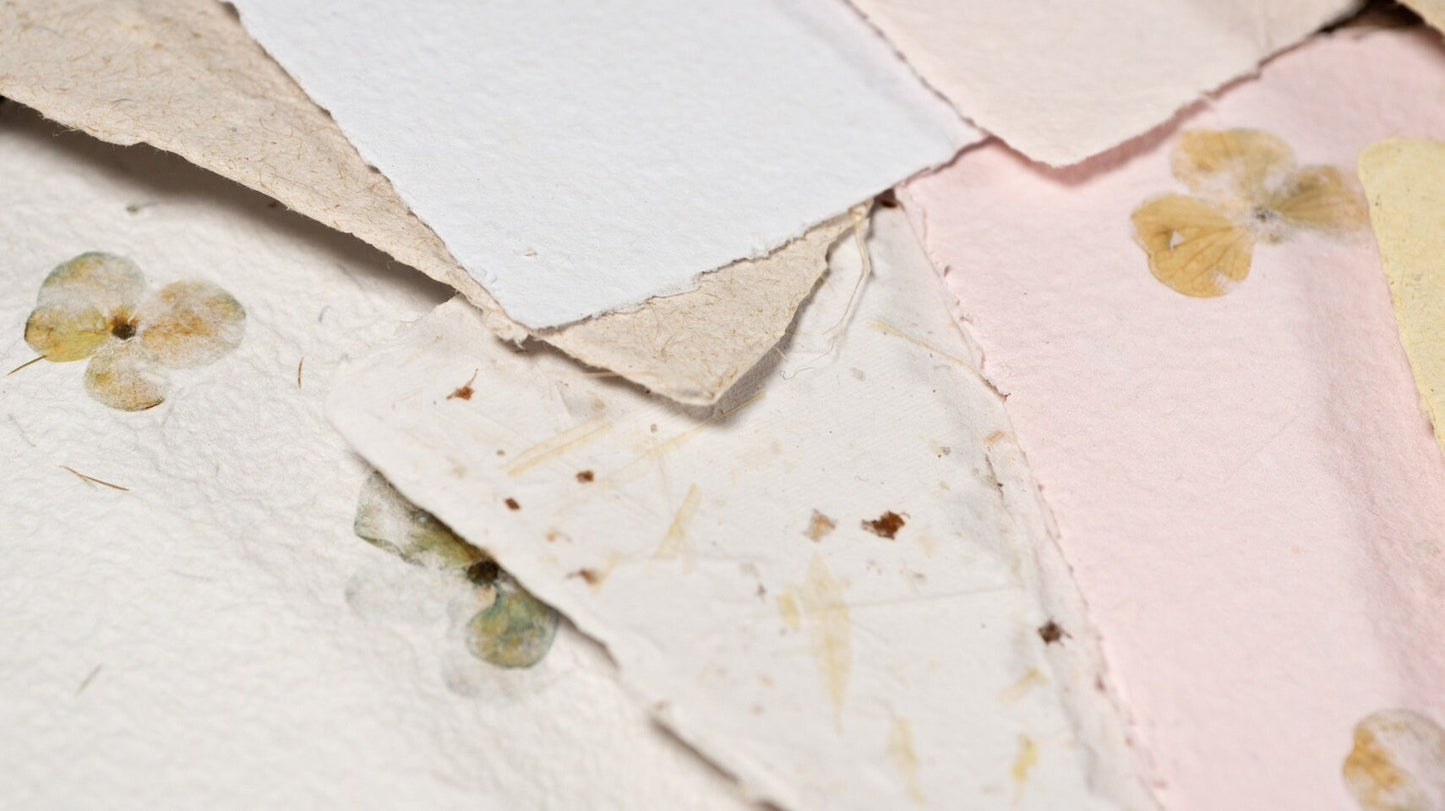 Business Card Mixed Botanical Handmade Paper