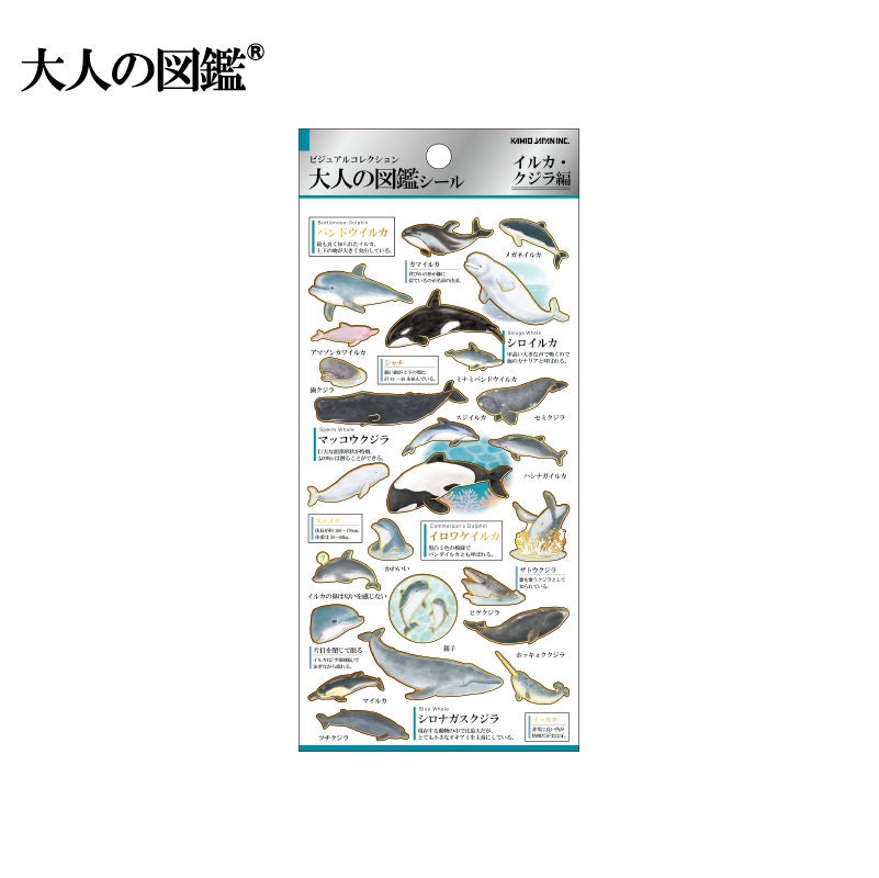 Visual Collection Gold Foil Sticker - Dolphins & Whales