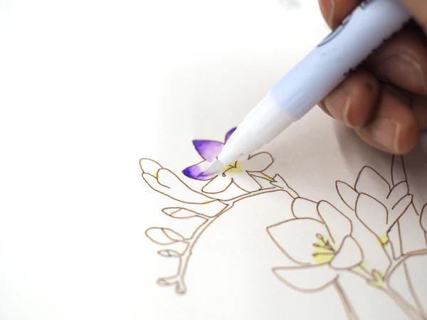 ZIG Watercolor Illustration Lesson - How to Paint Flower Gradation