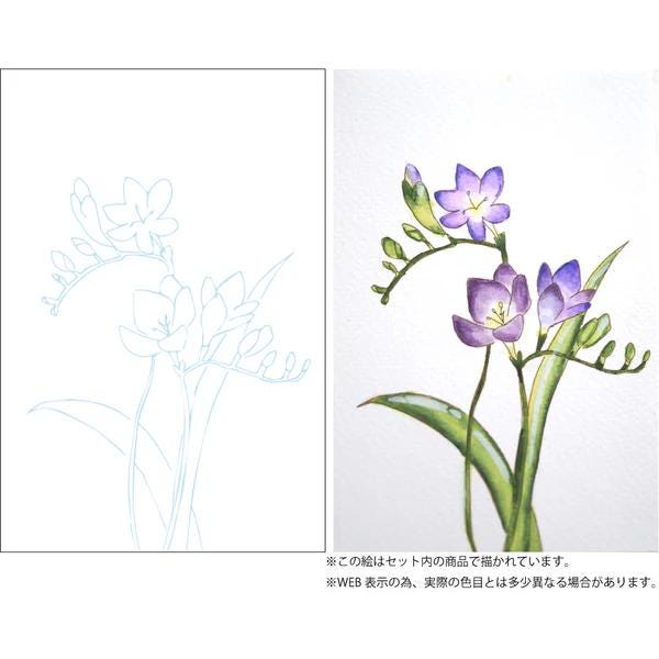 ZIG Watercolor Illustration Lesson - How to Paint Flower Gradation