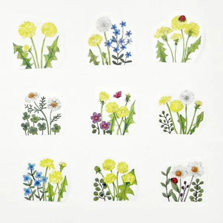 Washi Sticker Roll Series - Dandelion Field Kalo