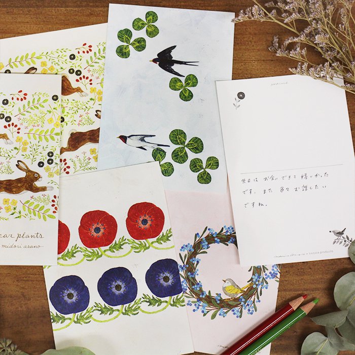 Postcard Set Series designed by Asano Midori - Dear Plants