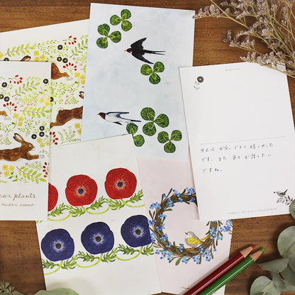 Postcard Set Series designed by Asano Midori - Dear Plants