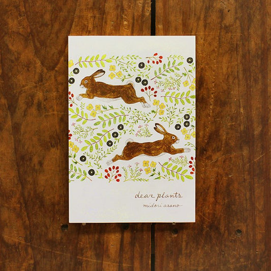 Postcard Set Series designed by Asano Midori - Dear Plants