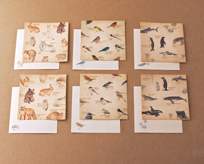 Retronome Series Memo Paper Set - Art Book of Animal
