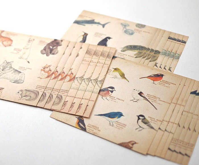 Retronome Series Memo Paper Set - Art Book of Animal