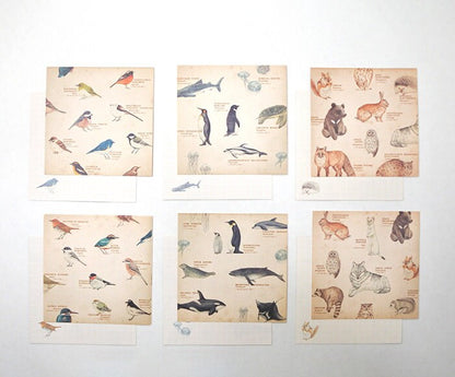 Retronome Series Memo Paper Set - Art Book of Animal