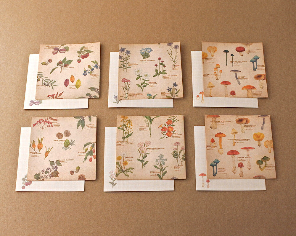 Retronome Series Memo Paper Set - Art Book of Wildflowers, Tree Fruits & Mushrooms