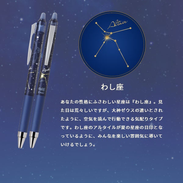 Pilot Frixion Point Knock Glitter 0.4mm Erasable Gel Pen -  Aquila