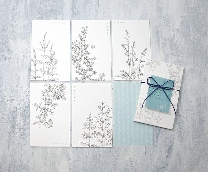 Linylane Series Message Card - Botanical Mountain Grass 003 Summer