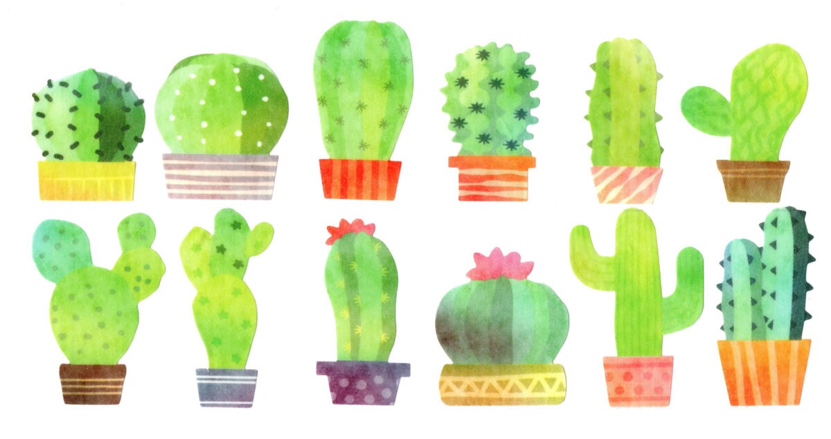 Washi Sticker Roll Series - Cacti