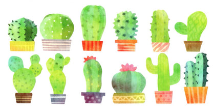 Washi Sticker Roll Series - Cacti