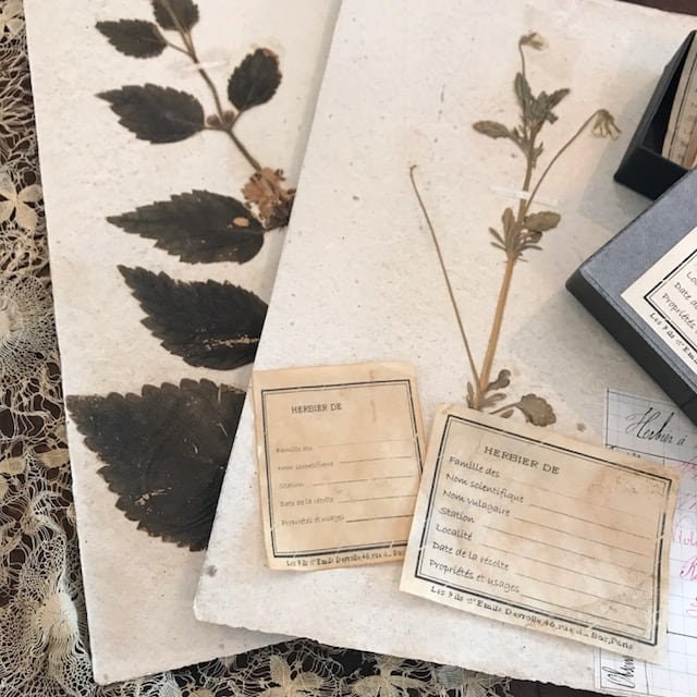 Handmade Coffee Dyeing Label Original Plant Specimen Label