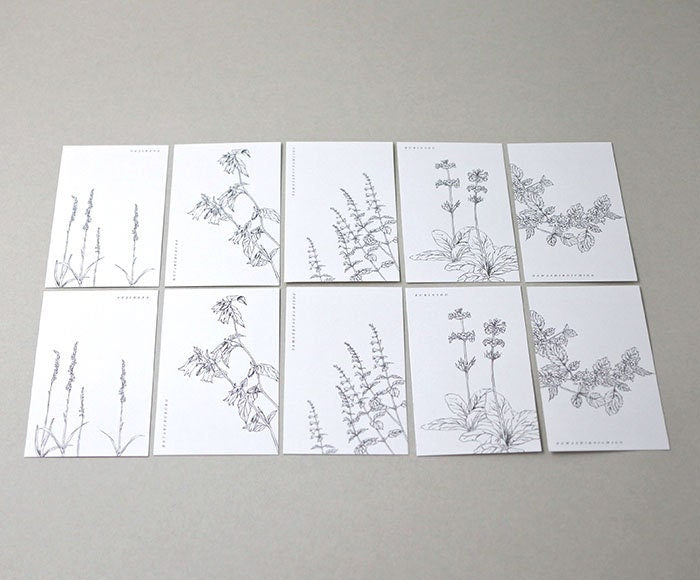 Linylane Series Message Card - Botanical Mountain Grass 002 Early Summer