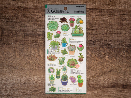 Visual Collection Gold Foil Sticker Series - Succulent plants