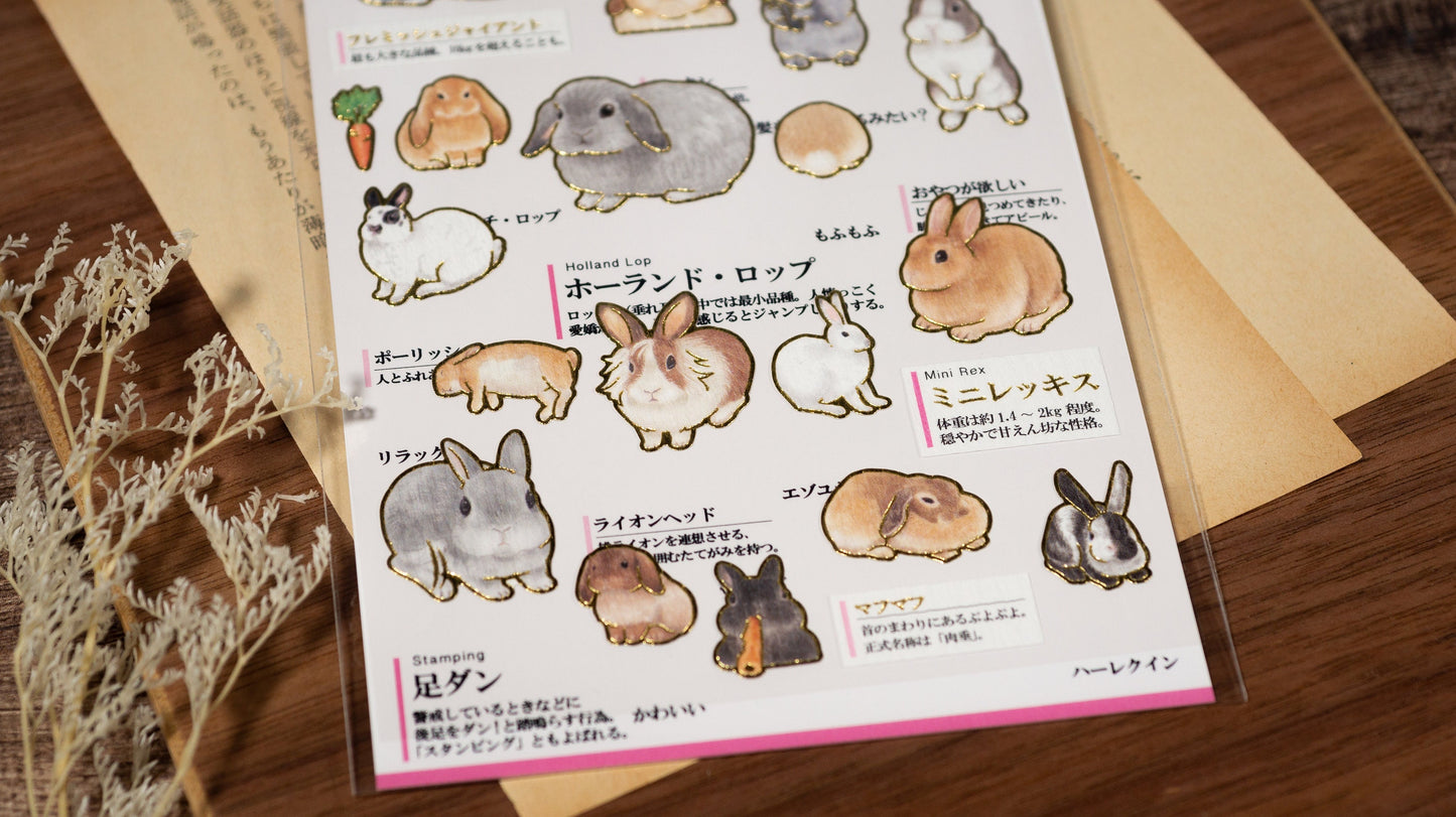 Visual Collection Gold Foil Sticker Series - Rabbit