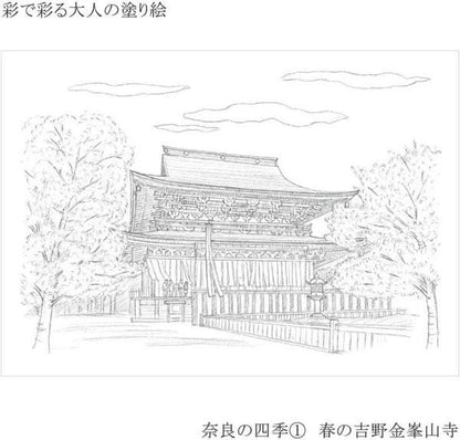 Coloring Book for Adults The Four Seasons of Nara set of 4