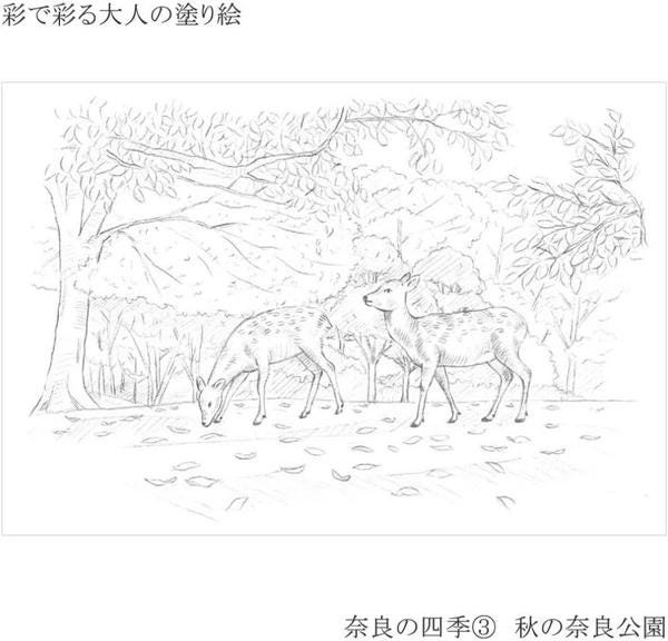 Coloring Book for Adults The Four Seasons of Nara set of 4