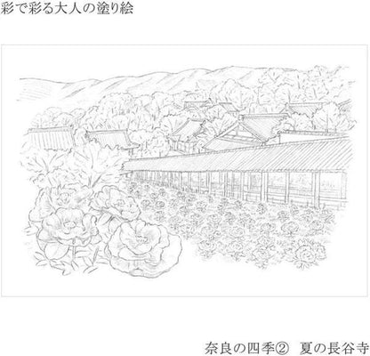 Coloring Book for Adults The Four Seasons of Nara set of 4